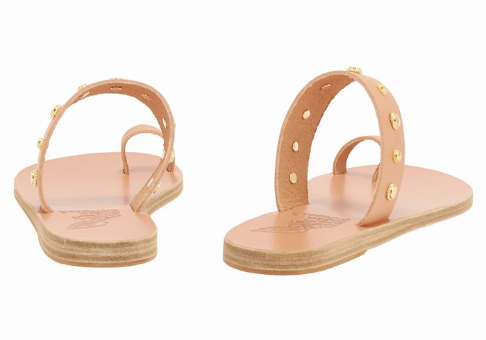 Sandales Toe-Post Ancient Greek Sandals Thalia Bee   | TQT-8768807